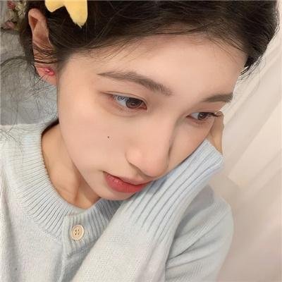 模范警察